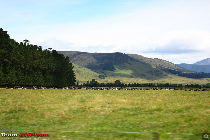 From the Land of the Kiwis (New Zealand)-img_2407.jpg