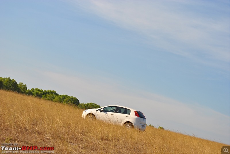 Day trip to the Beautiful Grasslands of Bangalore-dsc_7402.jpg