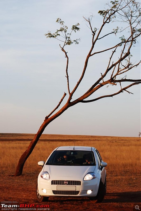 Day trip to the Beautiful Grasslands of Bangalore-dsc_7498.jpg