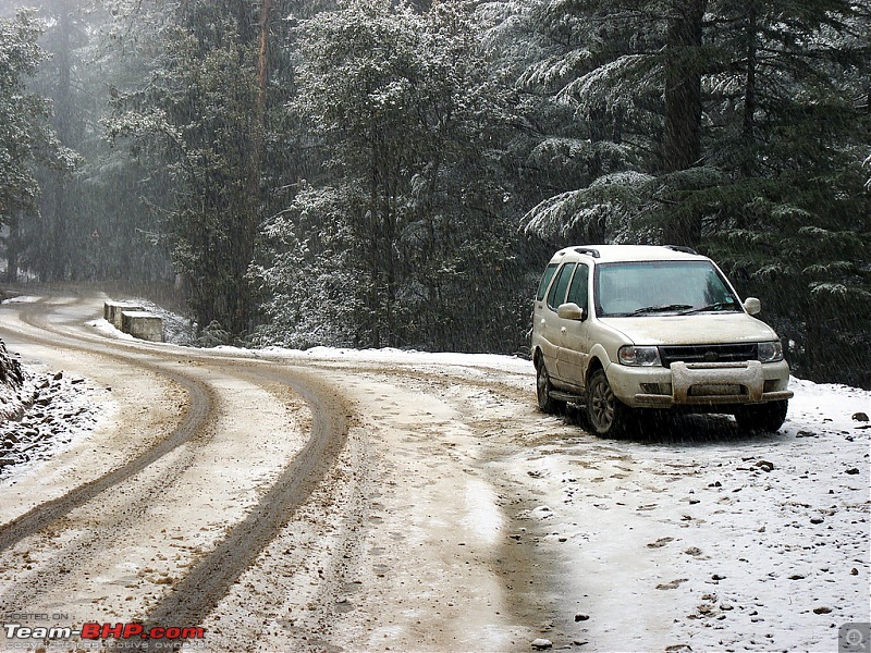 The White Travelogue - Kalpa-Sangla-Narkanda-1207427956_t2aiwxl.jpg