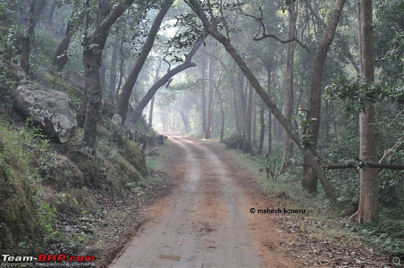 Bandhavgarh Tiger and some Srilankan Wildlife shots.-kanha4.jpg