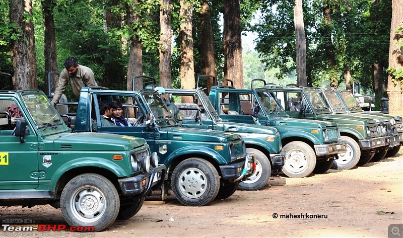 Bandhavgarh Tiger and some Srilankan Wildlife shots.-kanha3.jpg
