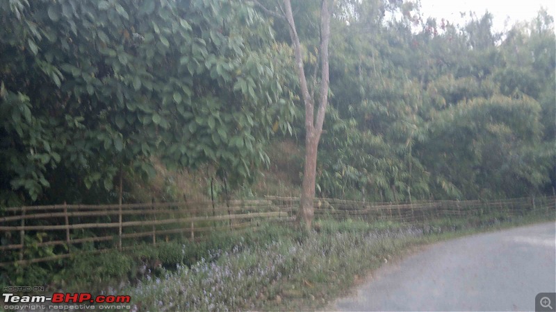 ₪ On the Road: Guwahati - Shillong [photologue]-5.jpg