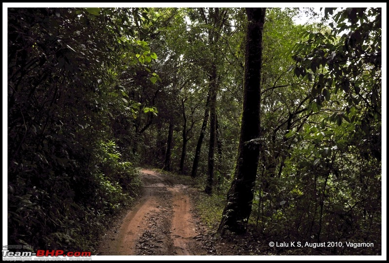 Civved : Vagamon-dsc_6619p.jpg