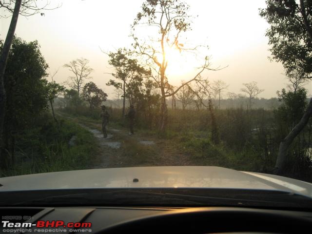 Manas National Park & Tiger Reserve, Assam-img_3838-small.jpg