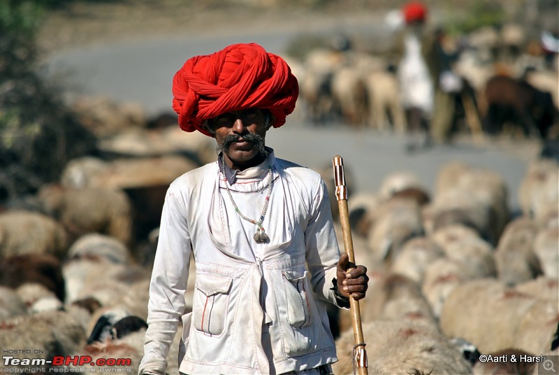 Raiders of the Rann: A Kachchhi Kaleidoscope (Gujarat)-dsc_2213.jpg