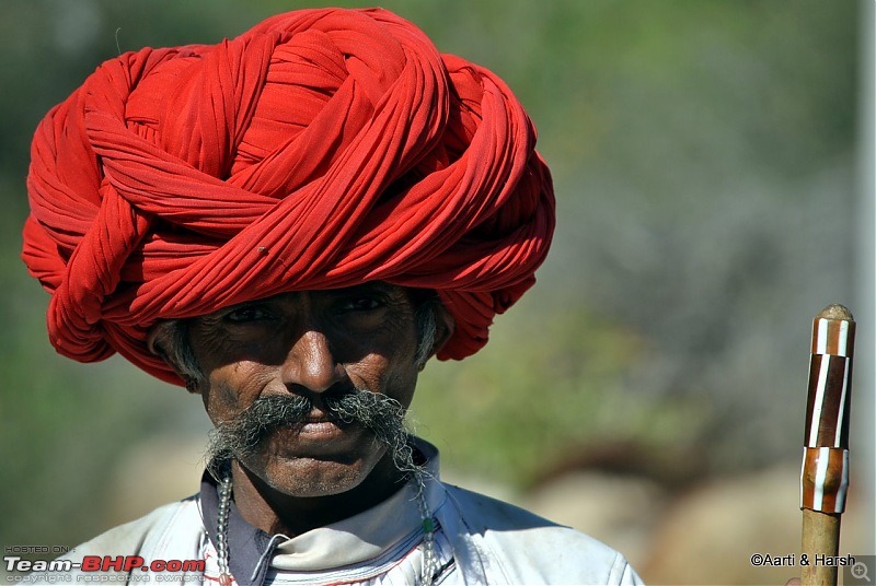 Raiders of the Rann: A Kachchhi Kaleidoscope (Gujarat)-dsc_2217.jpg