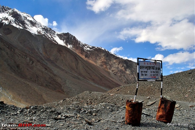 To the moon (lake) & back : Chandratal-dsc_03831024.jpg