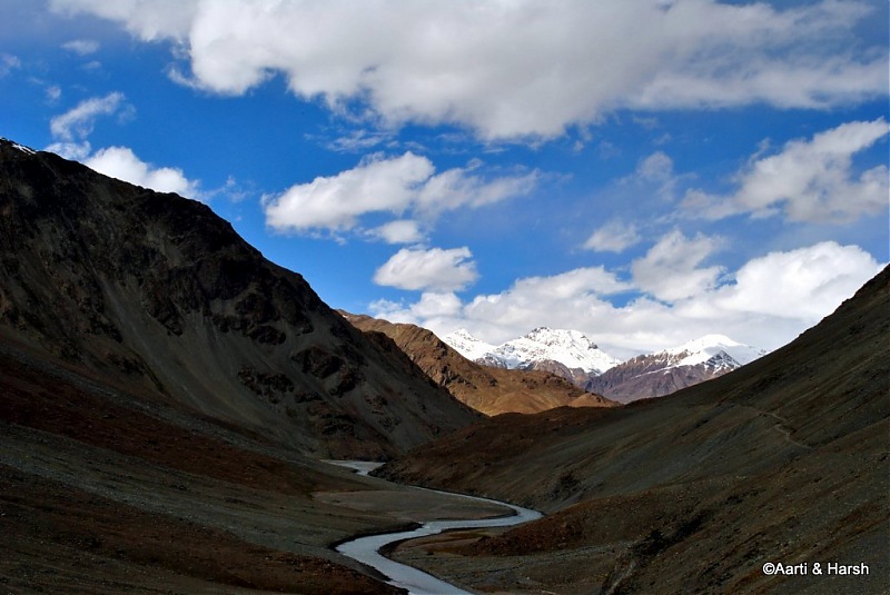 To the moon (lake) & back : Chandratal-dsc_03861024.jpg