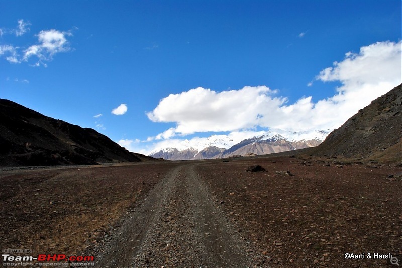 To the moon (lake) & back : Chandratal-dsc_04021024.jpg