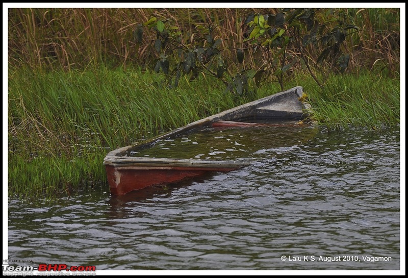 Civved : Vagamon-dsc_6732p.jpg