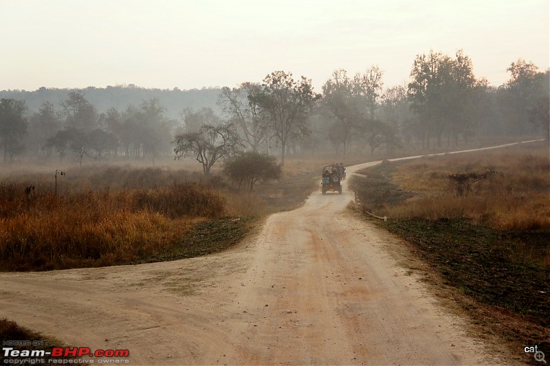 Reflections on Wildlife Addictions "Pench and Kanha National Park"-20.jpg