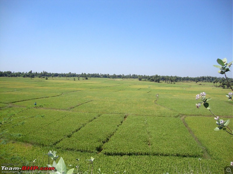 Meanders in Madhya Bharat  Chattisgarh & Kanha-fields-nh5.jpg