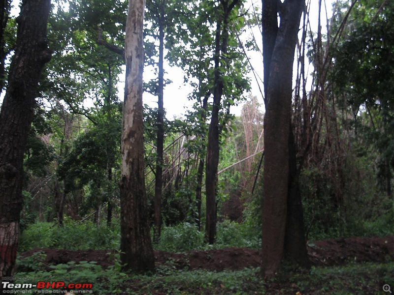 Tresspassing into the capital of King Cobra-aagumbe-017.jpg