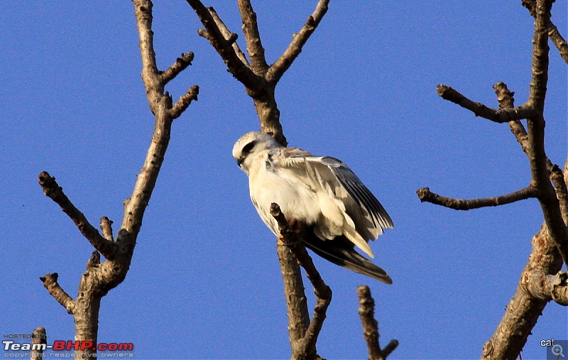 Reflections on Wildlife Addictions "Pench and Kanha National Park"-31.jpg