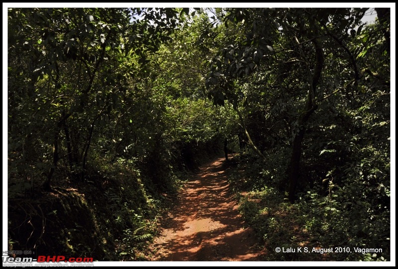 Civved : Vagamon-dsc_6966p.jpg