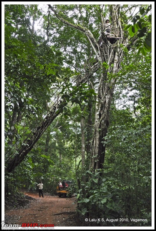 Civved : Vagamon-dsc_7008p.jpg