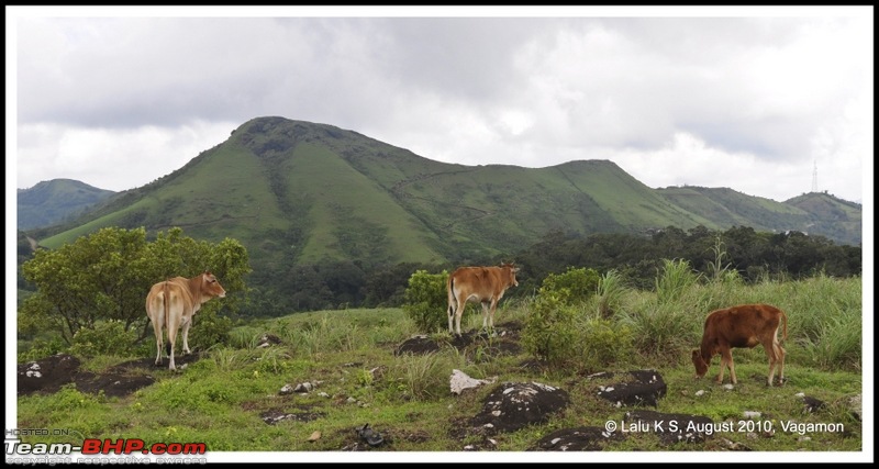 Civved : Vagamon-dsc_7090p.jpg