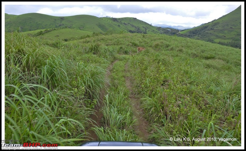 Civved : Vagamon-dsc_7223p.jpg