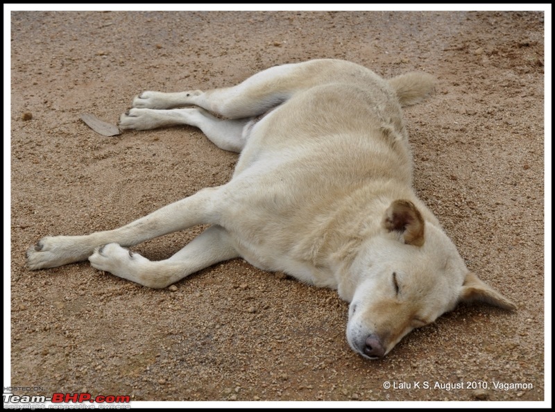 Civved : Vagamon-dsc_7278p.jpg