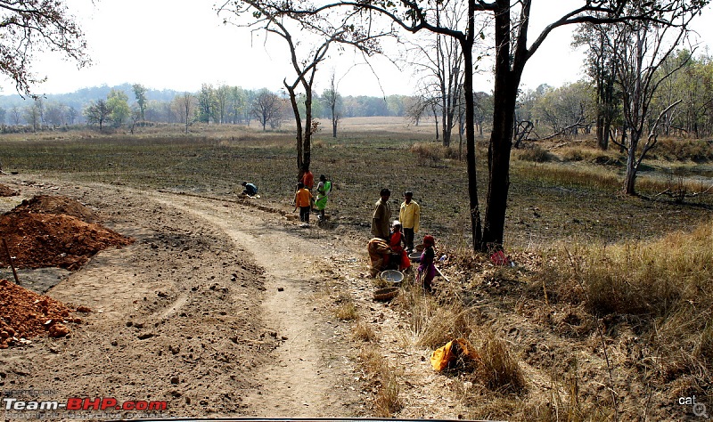 Reflections on Wildlife Addictions "Pench and Kanha National Park"-57.jpg