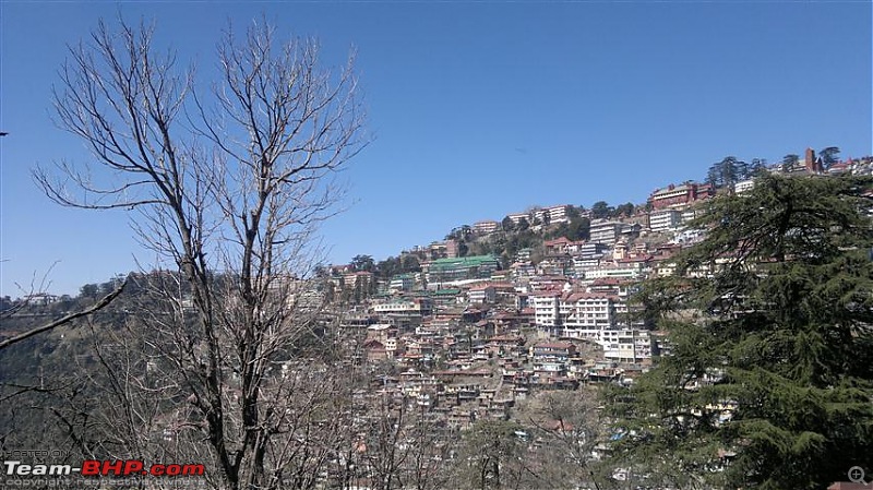 A quick trip to Shimla, Narkanda and chail-15032011304.jpg