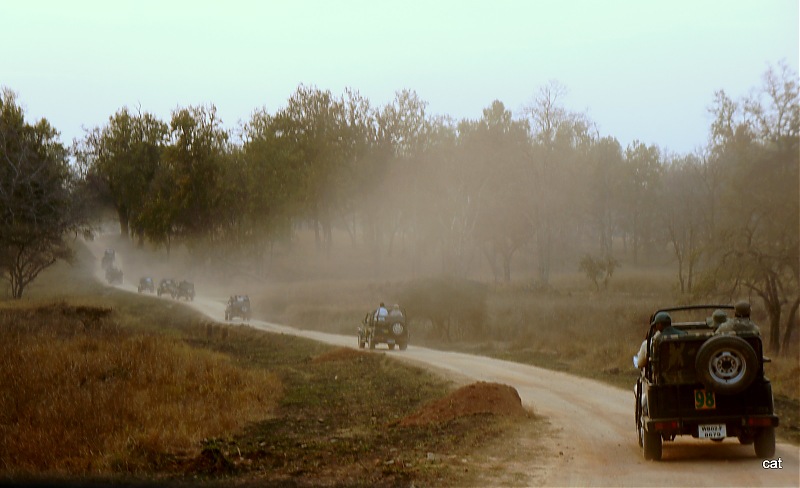 Reflections on Wildlife Addictions "Pench and Kanha National Park"-72.jpg