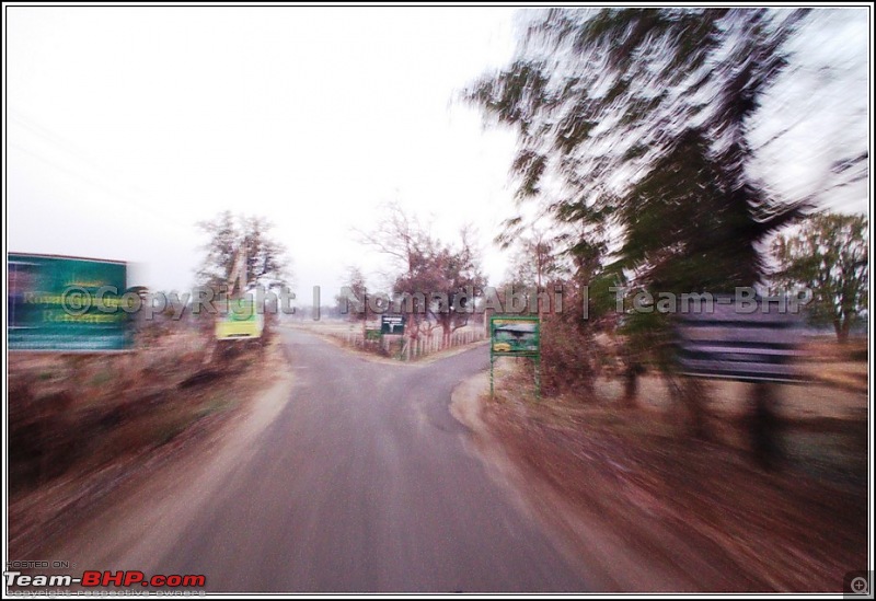 For how long we will be able to see Pench...?-01rightdecision.jpg