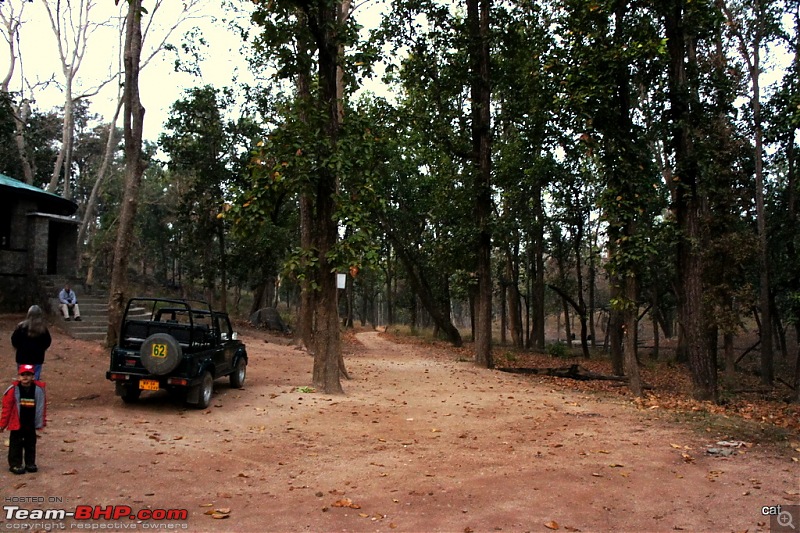 Reflections on Wildlife Addictions "Pench and Kanha National Park"-77.jpg