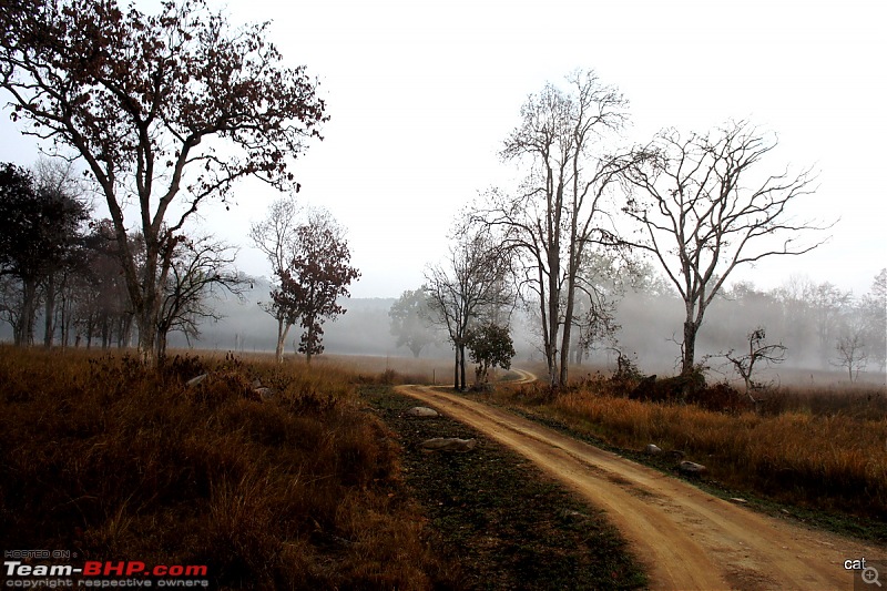 Reflections on Wildlife Addictions "Pench and Kanha National Park"-84.jpg