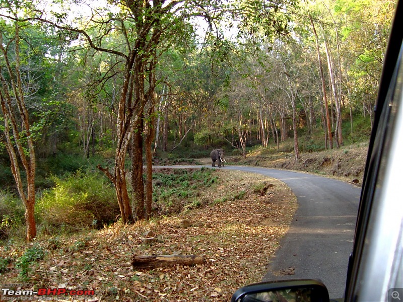 A road trip in a Jiffy and Lady luck!-tusker.jpg