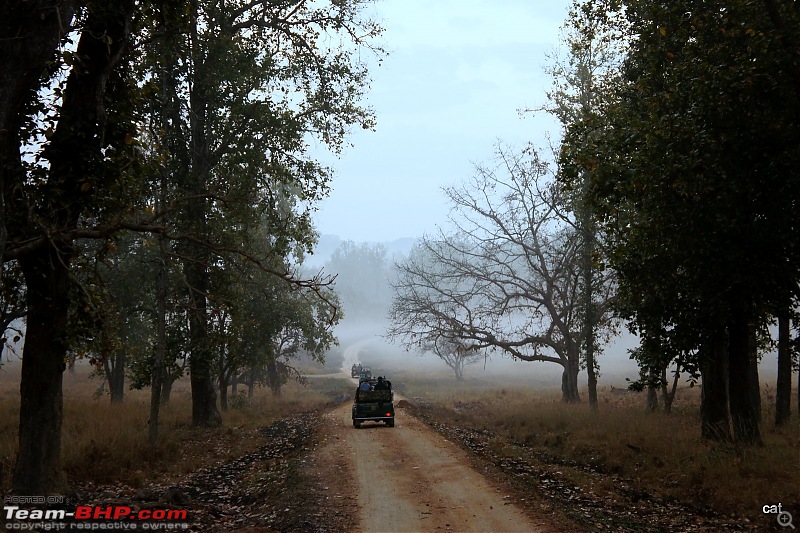 Reflections on Wildlife Addictions "Pench and Kanha National Park"-85.jpg