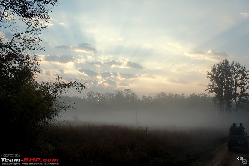 Reflections on Wildlife Addictions "Pench and Kanha National Park"-87.jpg