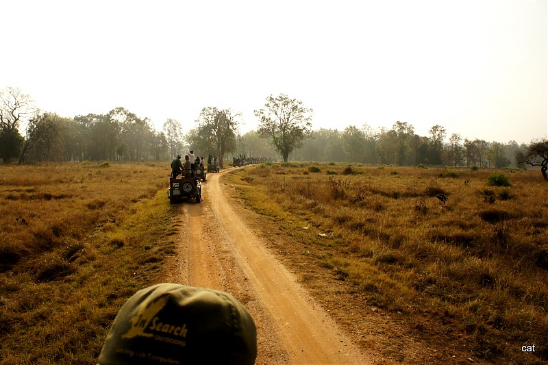 Reflections on Wildlife Addictions "Pench and Kanha National Park"-dsc00661.jpg