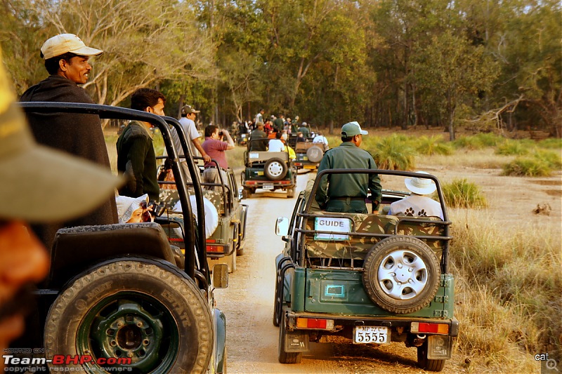 Reflections on Wildlife Addictions "Pench and Kanha National Park"-106.jpg