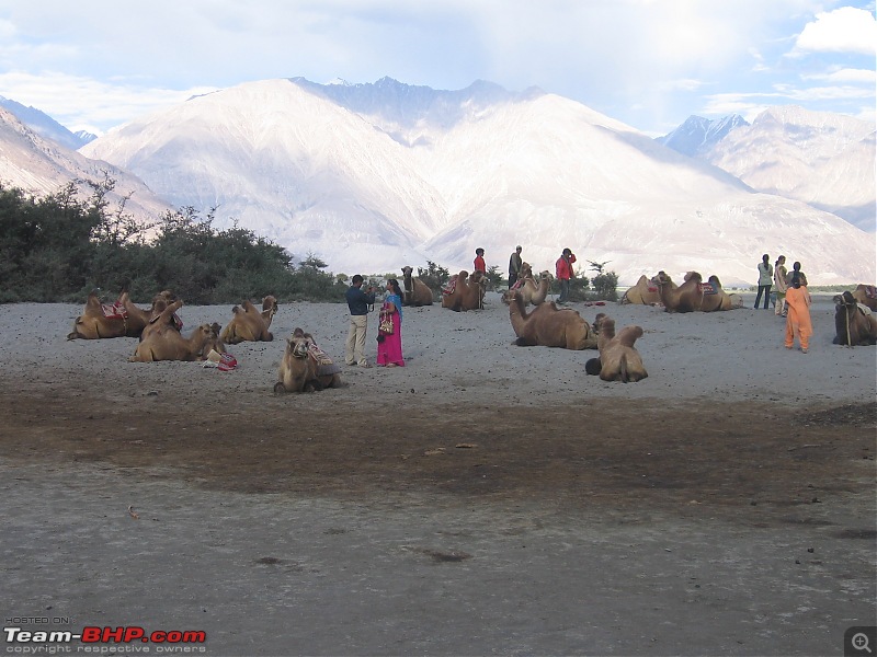 Leh-Ladakh August 2010: Lakshya Foundation-img_1602.jpg
