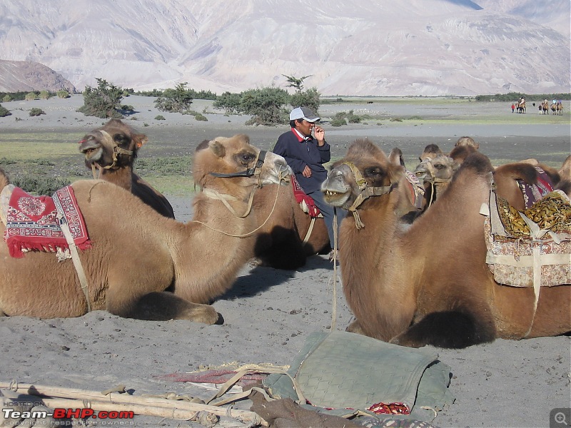 Leh-Ladakh August 2010: Lakshya Foundation-img_1612.jpg