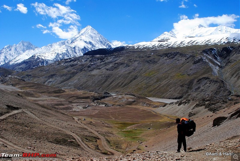 To the moon (lake) & back : Chandratal-dsc_0511.jpg