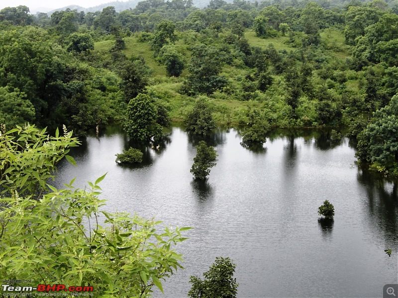 Chikaldhara Hills-image2.jpg