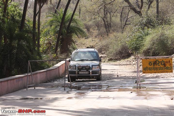 Mission Spot a Tiger @ Sariska - Project Tiger Reserve, Attempt No - 2-img_2141.jpg