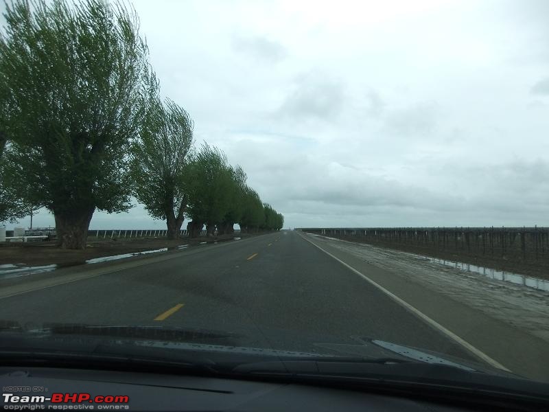 Beyond the Horizon - A Business trip to Silicon Valley-20110326-081.jpg