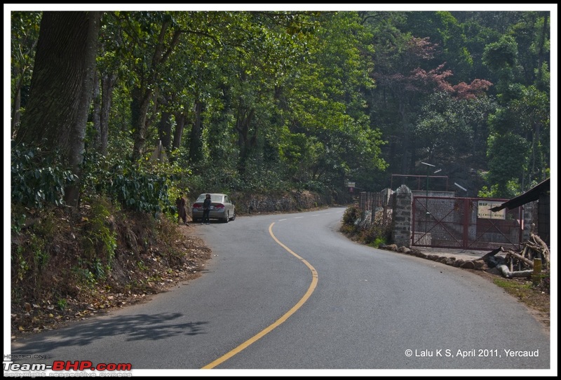 Civved : Yercaud via Mahabalipuram and Pondicherry-dsc_6404p.jpg