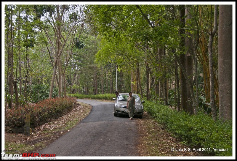 Civved : Yercaud via Mahabalipuram and Pondicherry-dsc_6586p.jpg