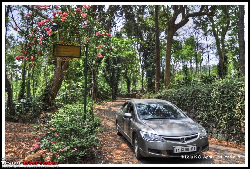 Civved : Yercaud via Mahabalipuram and Pondicherry-dsc_6609p.jpg