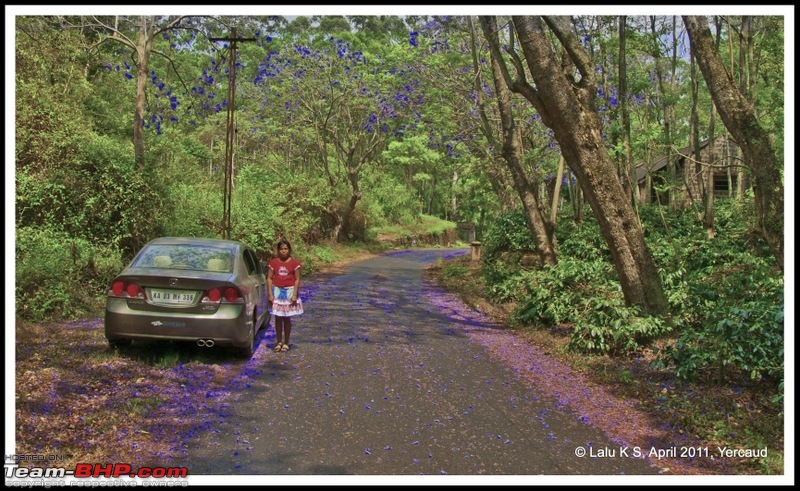 Civved : Yercaud via Mahabalipuram and Pondicherry-dsc_6636p.jpg