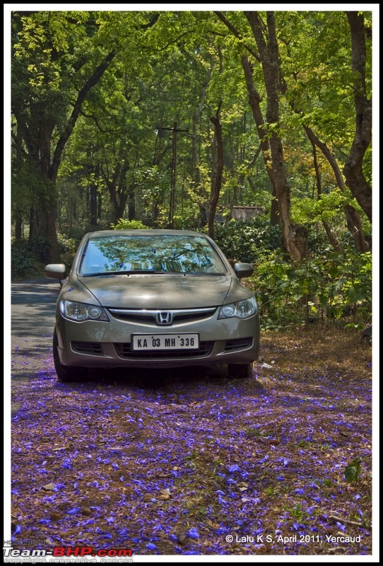 Civved : Yercaud via Mahabalipuram and Pondicherry-dsc_6662p.jpg