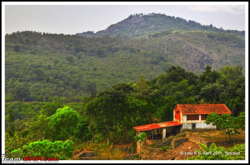 Civved : Yercaud via Mahabalipuram and Pondicherry-dsc_6725p.jpg