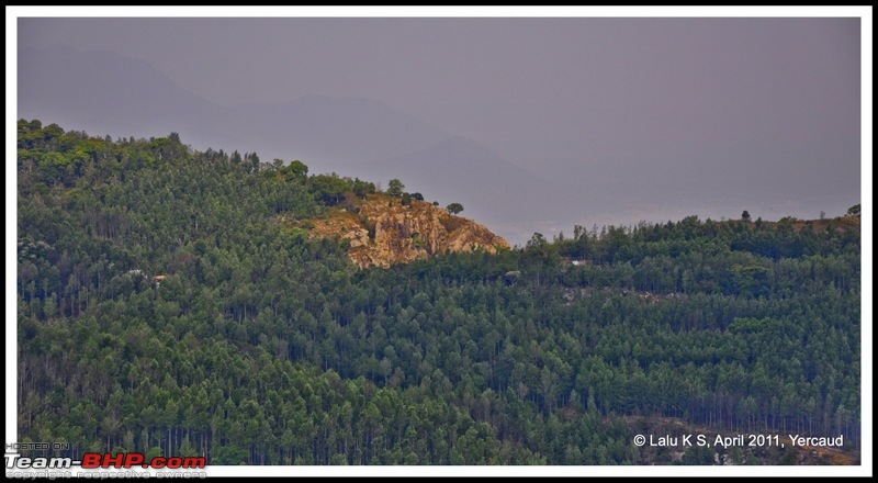 Civved : Yercaud via Mahabalipuram and Pondicherry-dsc_6745p.jpg