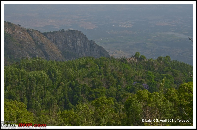 Civved : Yercaud via Mahabalipuram and Pondicherry-dsc_6754p.jpg