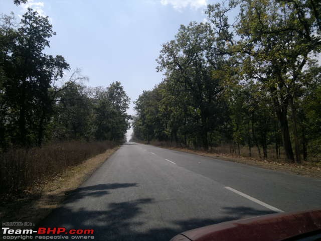 For how long we will be able to see Pench...?-back2urbanlife.jpg